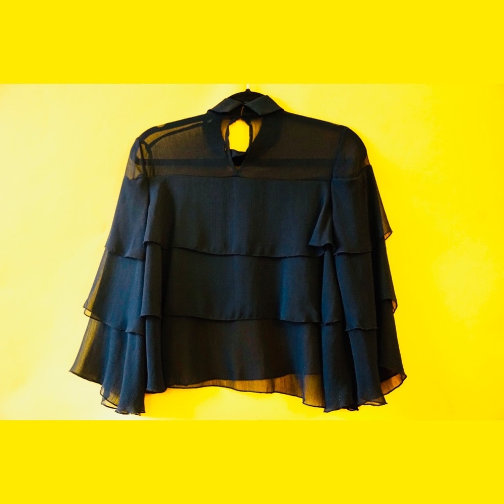 Zara Sheer Navy Blue Ruffle Top